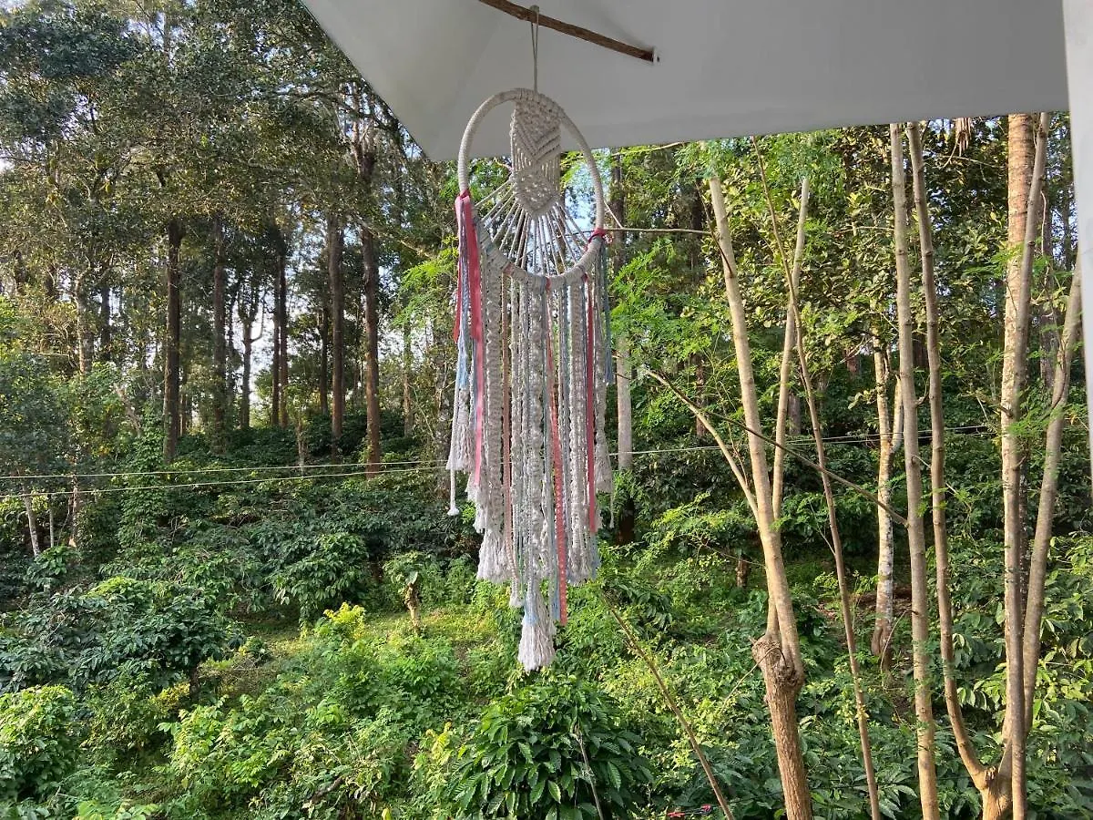 Ammus Homestay Thekkady Inde